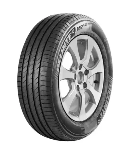 215/50R17 DELİNTE DS2 95W XL